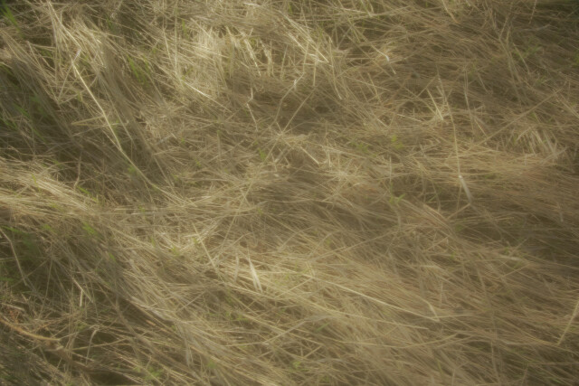 МЕТА САТ - CO:CREATE 7