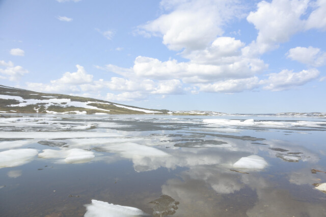 МЕТА САТ - CO:CREATE 2