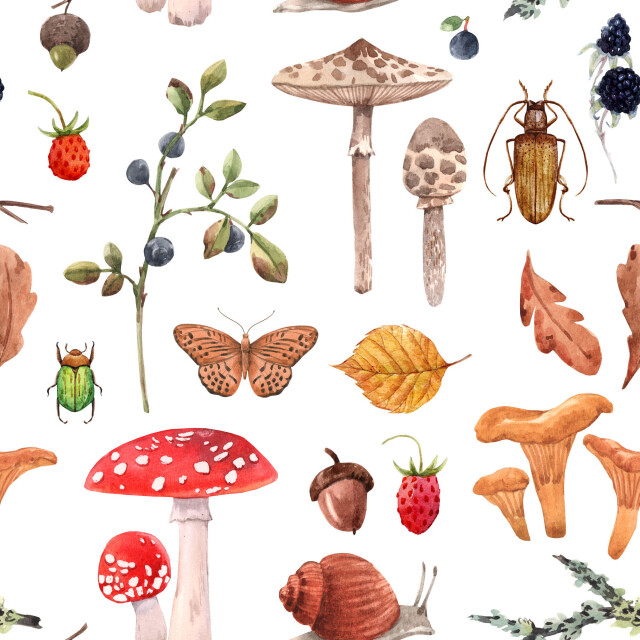 Лес - CO:CREATE 1