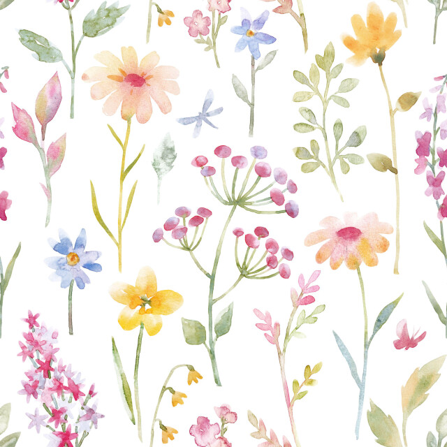 Полевые цветы - CO:CREATE 1