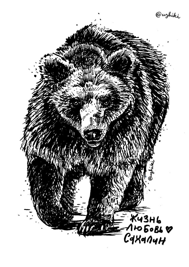 Медведь - CO:CREATE 1