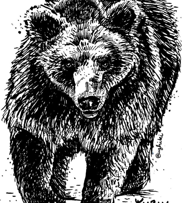 Медведь - CO:CREATE