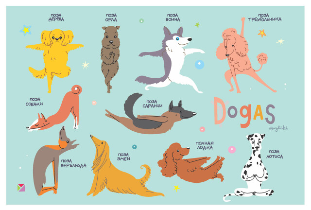 Йога для собак - CO:CREATE 1