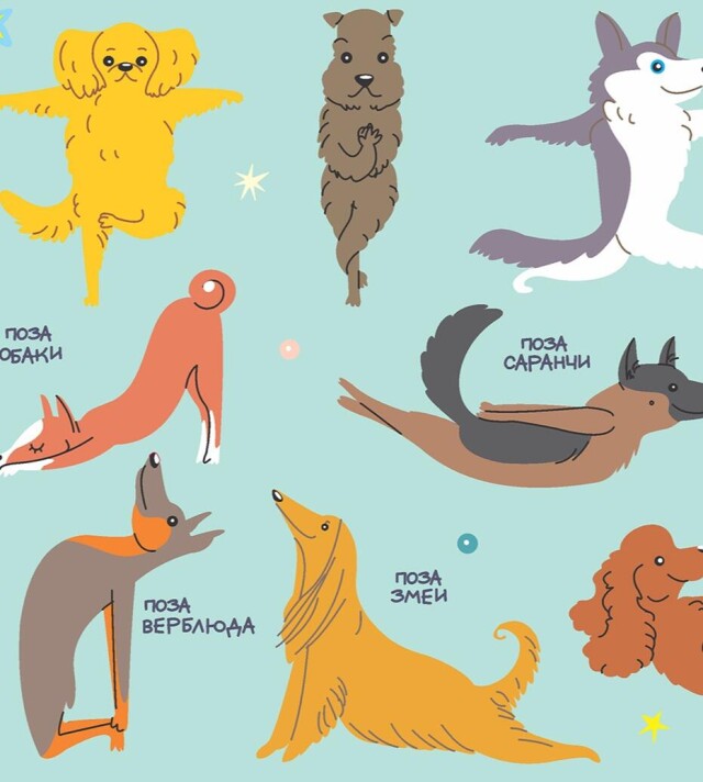 Йога для собак - CO:CREATE