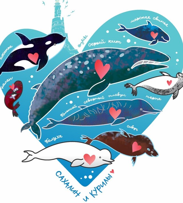 Морские млекопитающие - CO:CREATE