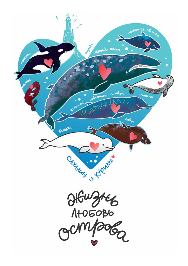 Морские млекопитающие - CO:CREATE 1