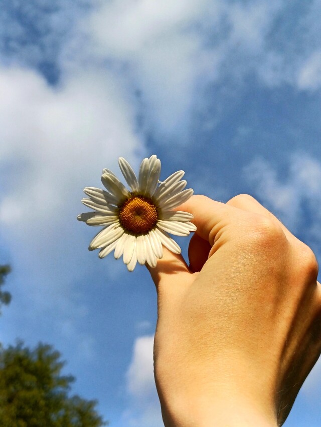 the immensity of nature - CO:CREATE 4