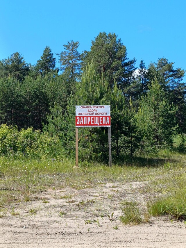 the immensity of nature - CO:CREATE 2