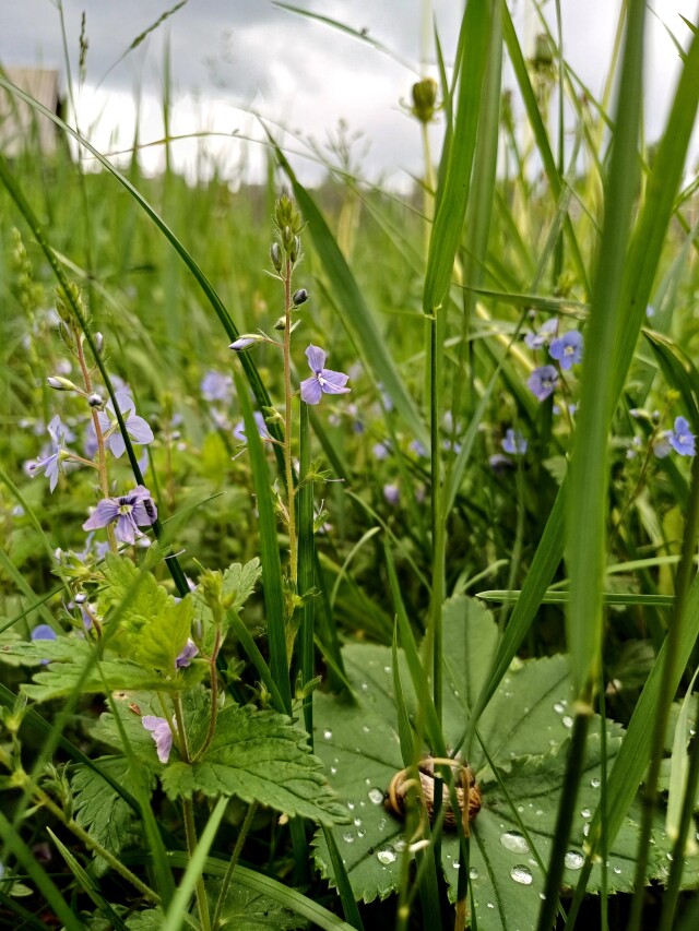 the immensity of nature - CO:CREATE 8