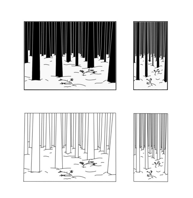 Лес, зима, Академгородок. Новосибирск - CO:CREATE 2