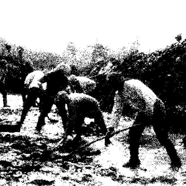 Металлург - CO:CREATE 6