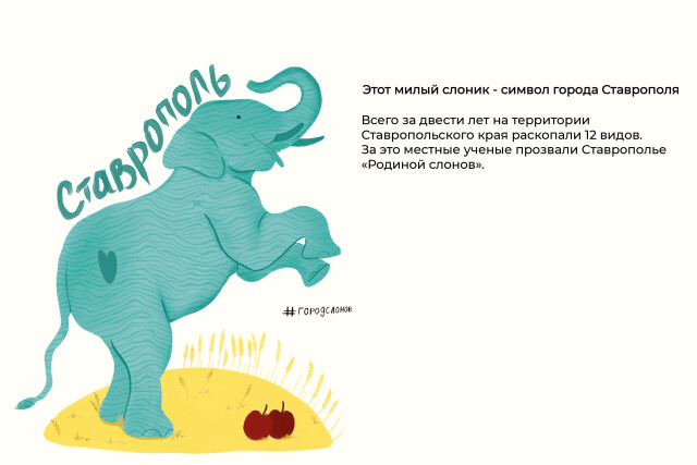 Ставрополь - родина слонов - CO:CREATE 2