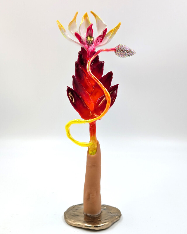 Луксурия морсу - CO:CREATE 1