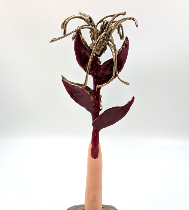 Фонс ауреус - CO:CREATE