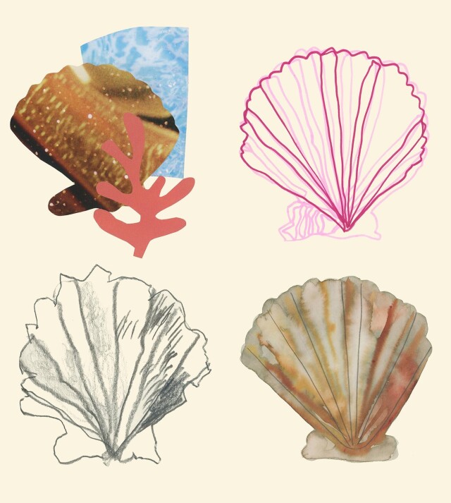 Ракушки - CO:CREATE