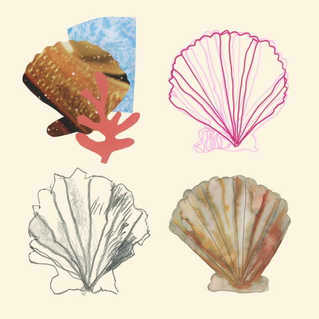 Ракушки - CO:CREATE 1