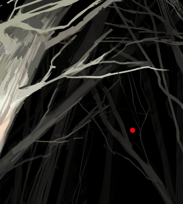 вспышка в лесу - CO:CREATE