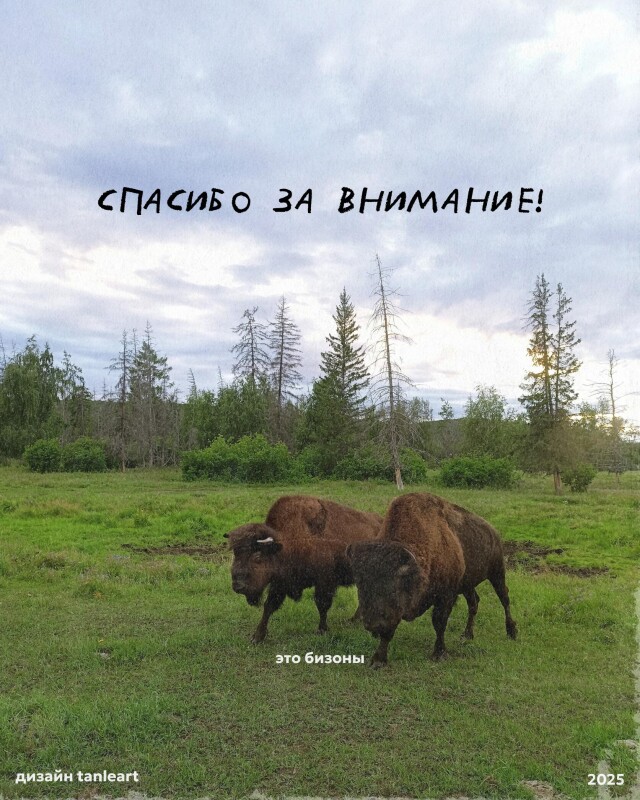 якутия - земля мамонтов - CO:CREATE 8