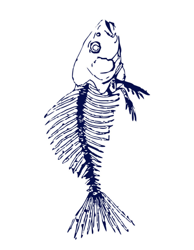 Корюшка Петербурга - CO:CREATE 4