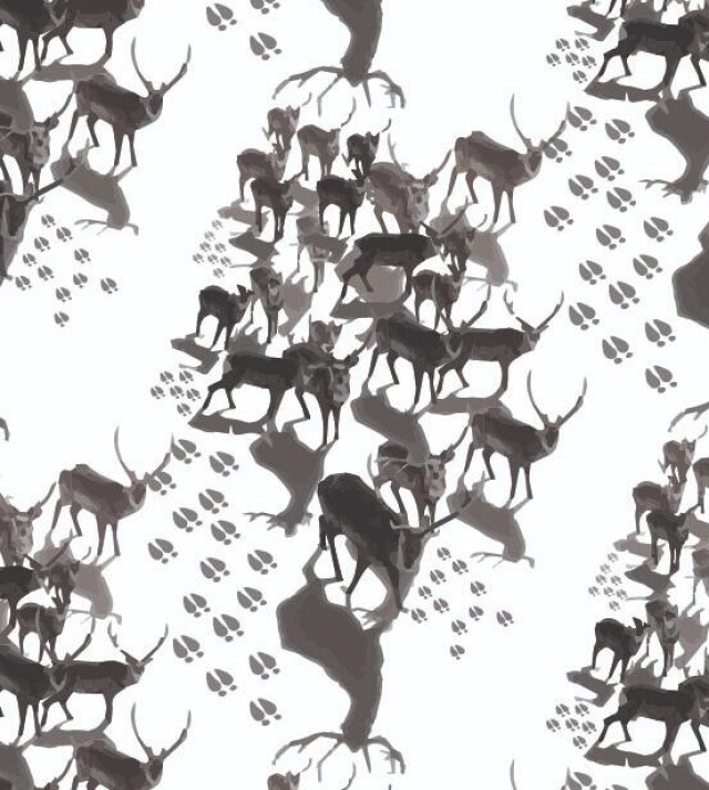 Олени Якутии - CO:CREATE