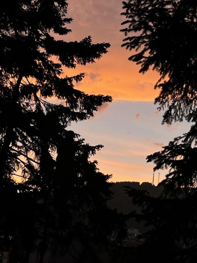 Виды города Горно-Алтайск - CO:CREATE 1