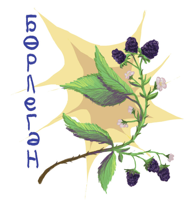 бөрлегән - CO:CREATE 2