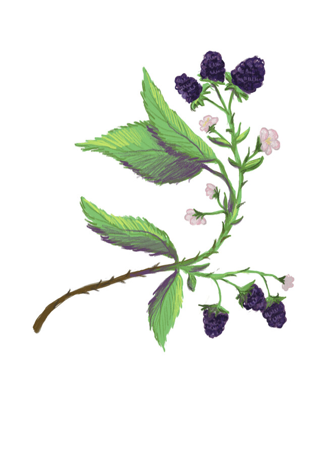 бөрлегән - CO:CREATE 3