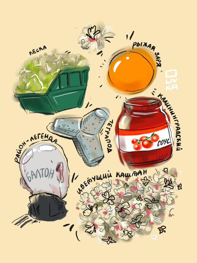 «таким я знаю Калининград» - CO:CREATE 4