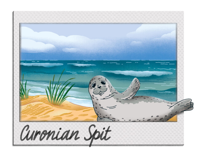 Калининград Куршская коса - CO:CREATE 1