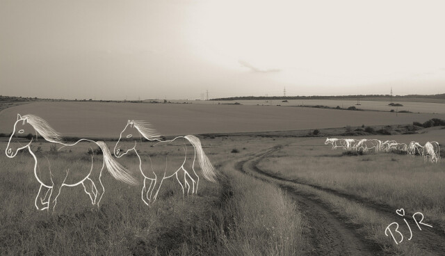 Город в котором становится пусто ? - CO:CREATE 2