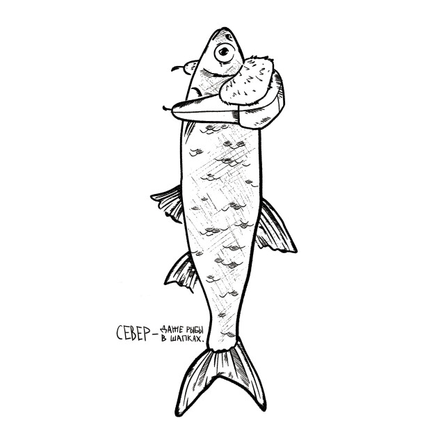 "Северный край" - CO:CREATE 4