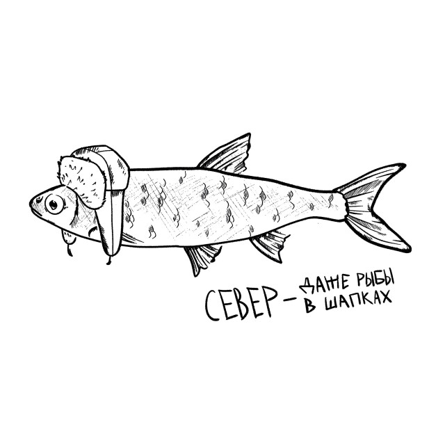 "Северный край" - CO:CREATE 1