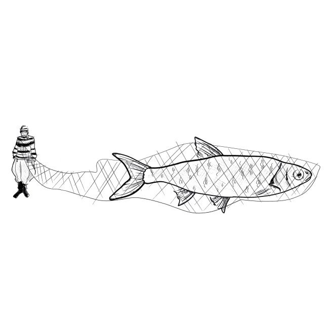 "Северный край" - CO:CREATE 3