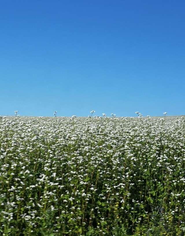 Лето в Уфе - CO:CREATE