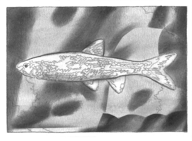 Контур сбоя - CO:CREATE 2