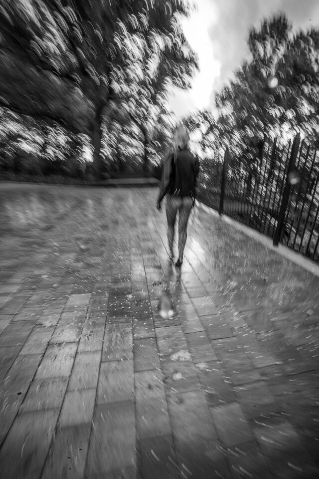 Нэнси ... без Сида - CO:CREATE 6