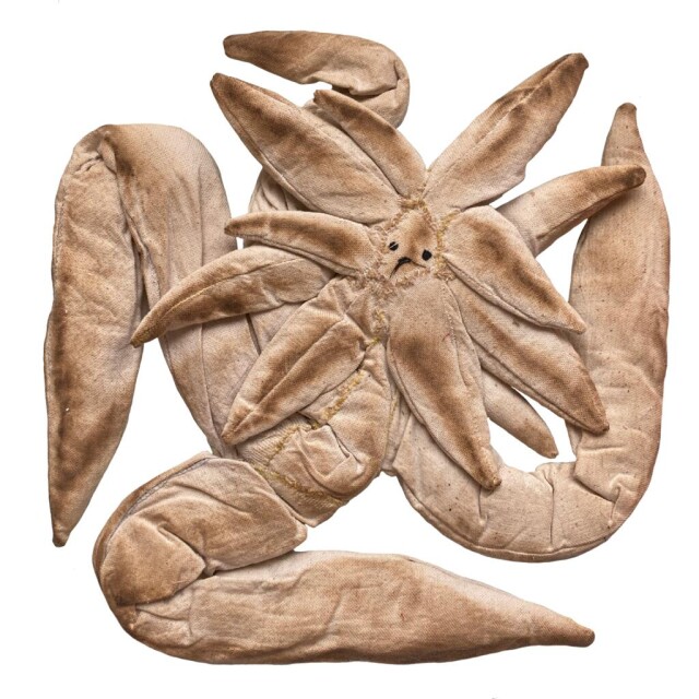 ЗВЕЗДА-БЕГЛЯНКА - CO:CREATE 1