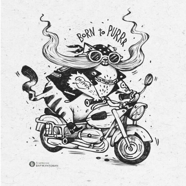 Born to Purrr - CO:CREATE