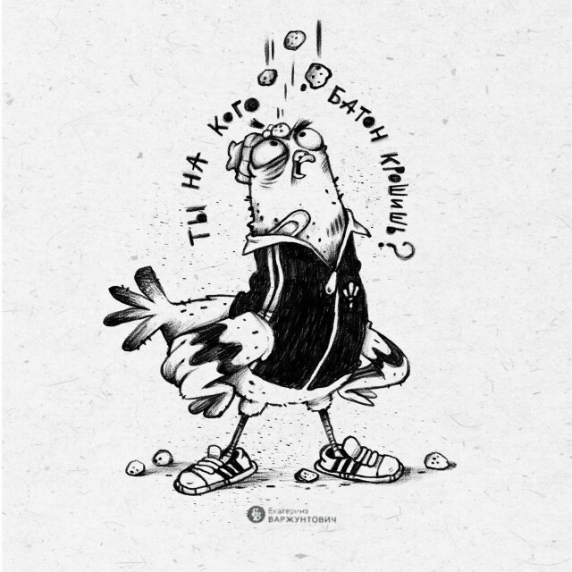 Голубь дерзкий - CO:CREATE 1