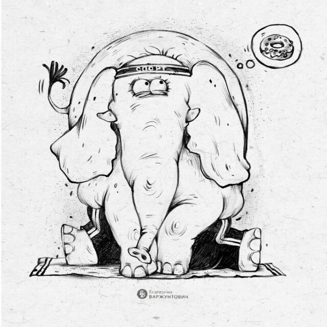 Слон - CO:CREATE