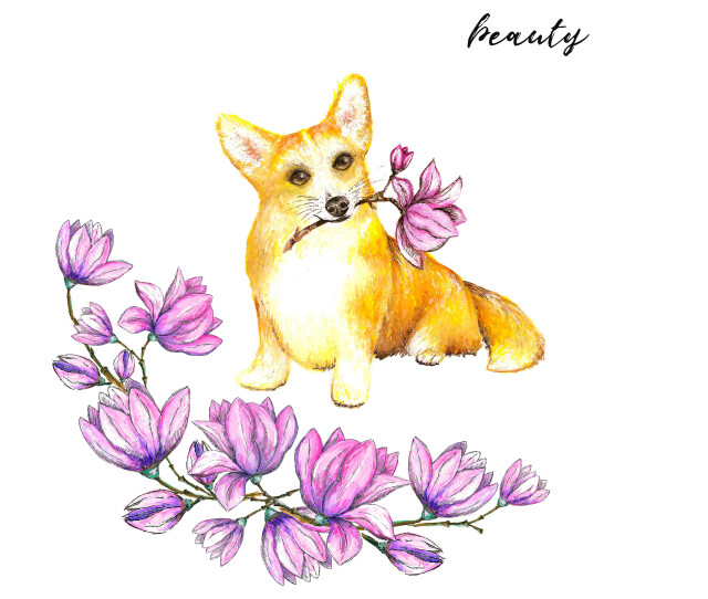 Коржик - CO:CREATE 2