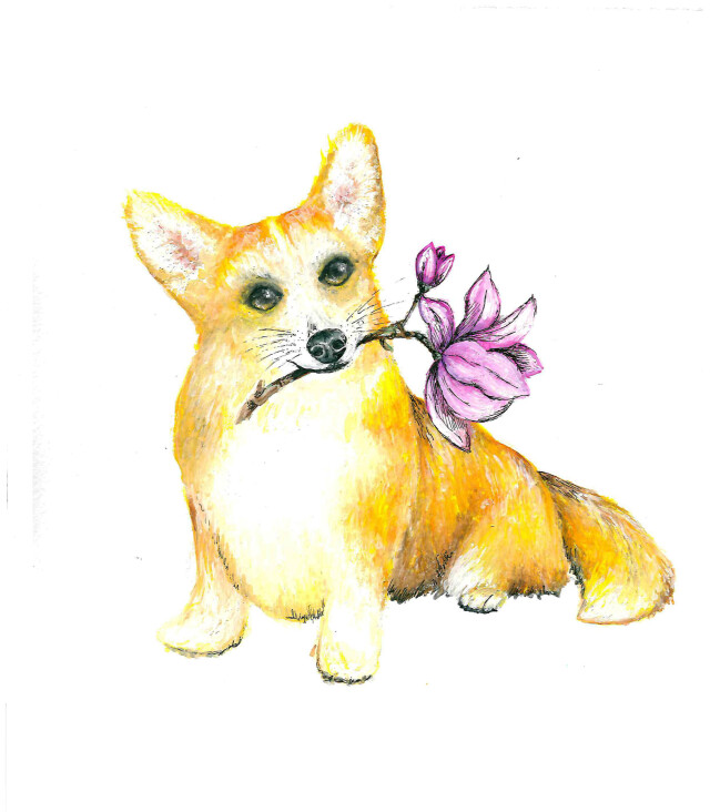 Коржик - CO:CREATE 1