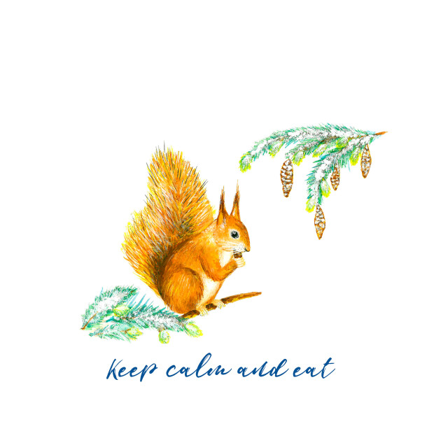 Белочка - CO:CREATE 5