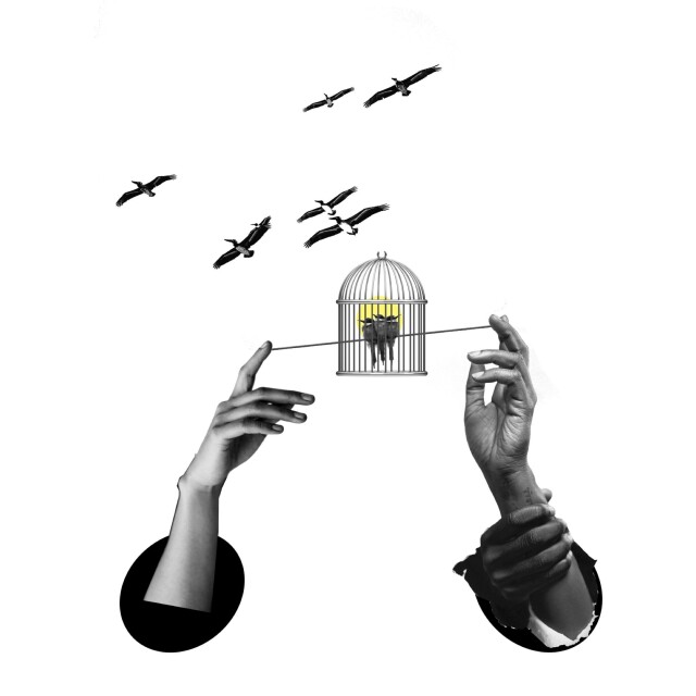 Свобода рядом - CO:CREATE