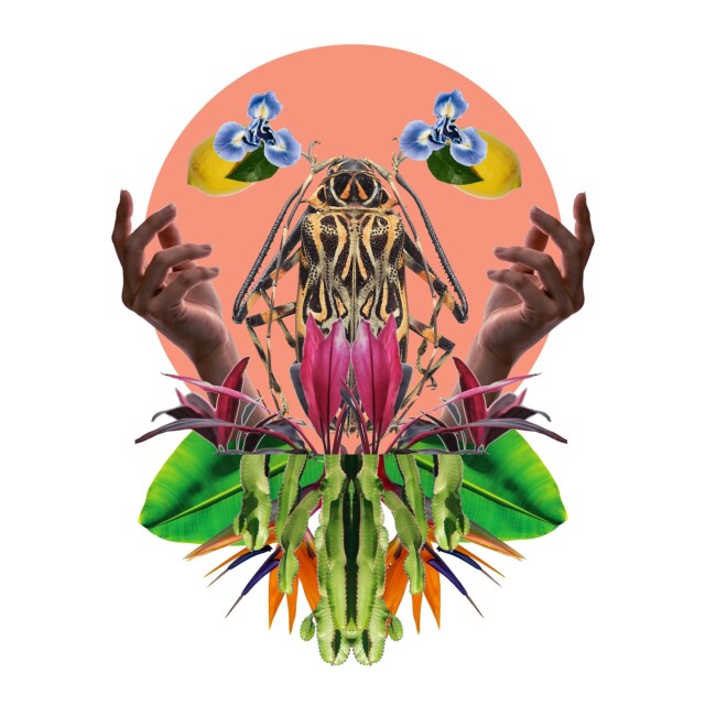 Жуки - CO:CREATE