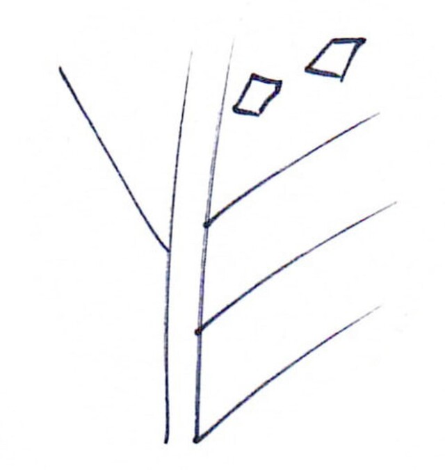 yё - CO:CREATE 2