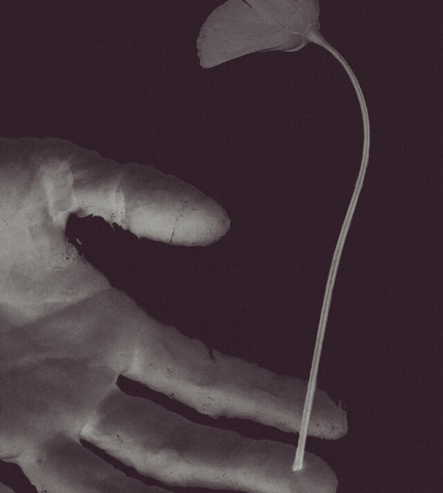 «Цветочная хрупкость» - CO:CREATE