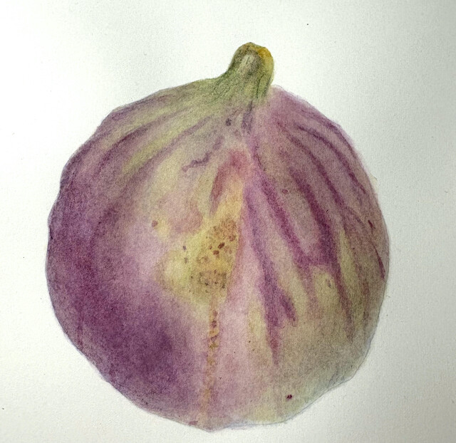 Инжир - CO:CREATE 1