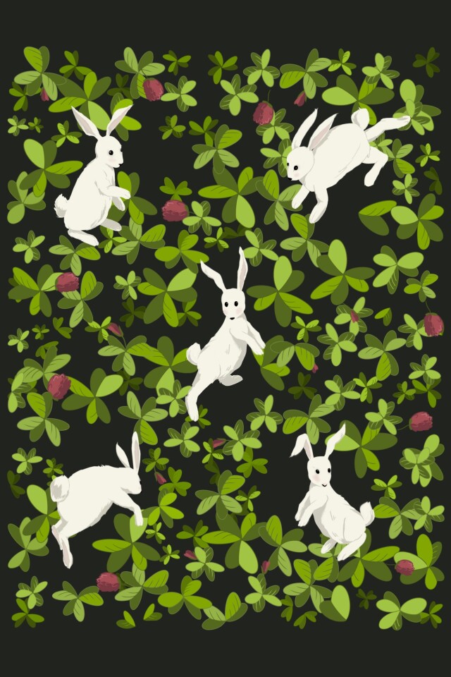 За белым кроликом - CO:CREATE 2