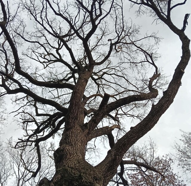 Blacktree - CO:CREATE 1